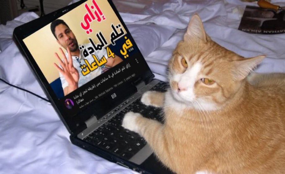 Ł (@lllllllll1_l) on Twitter photo 