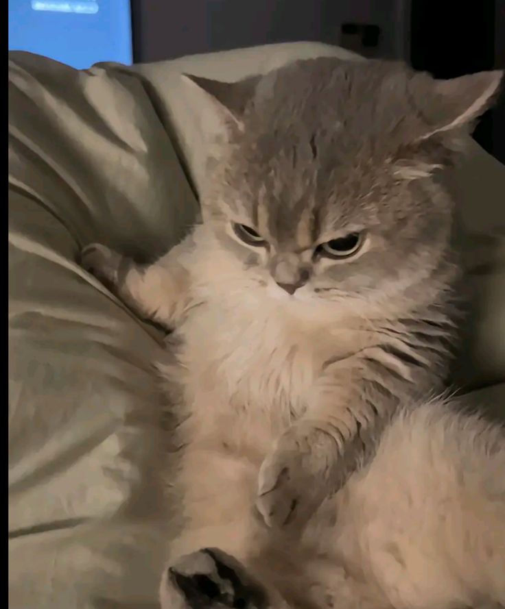 -neyin var ?

-yok bişi...