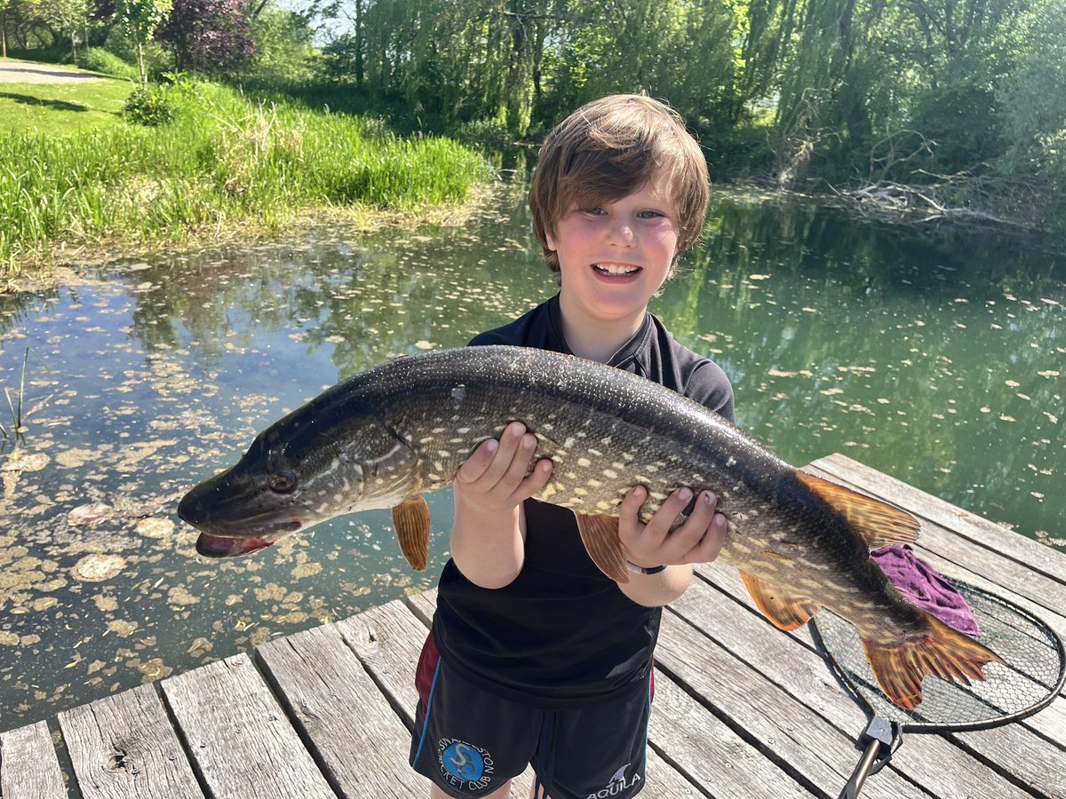 Sunday Funday <a href="/CharlesBristow/">Charles Bristow</a> Anyone for pike fish cakes?