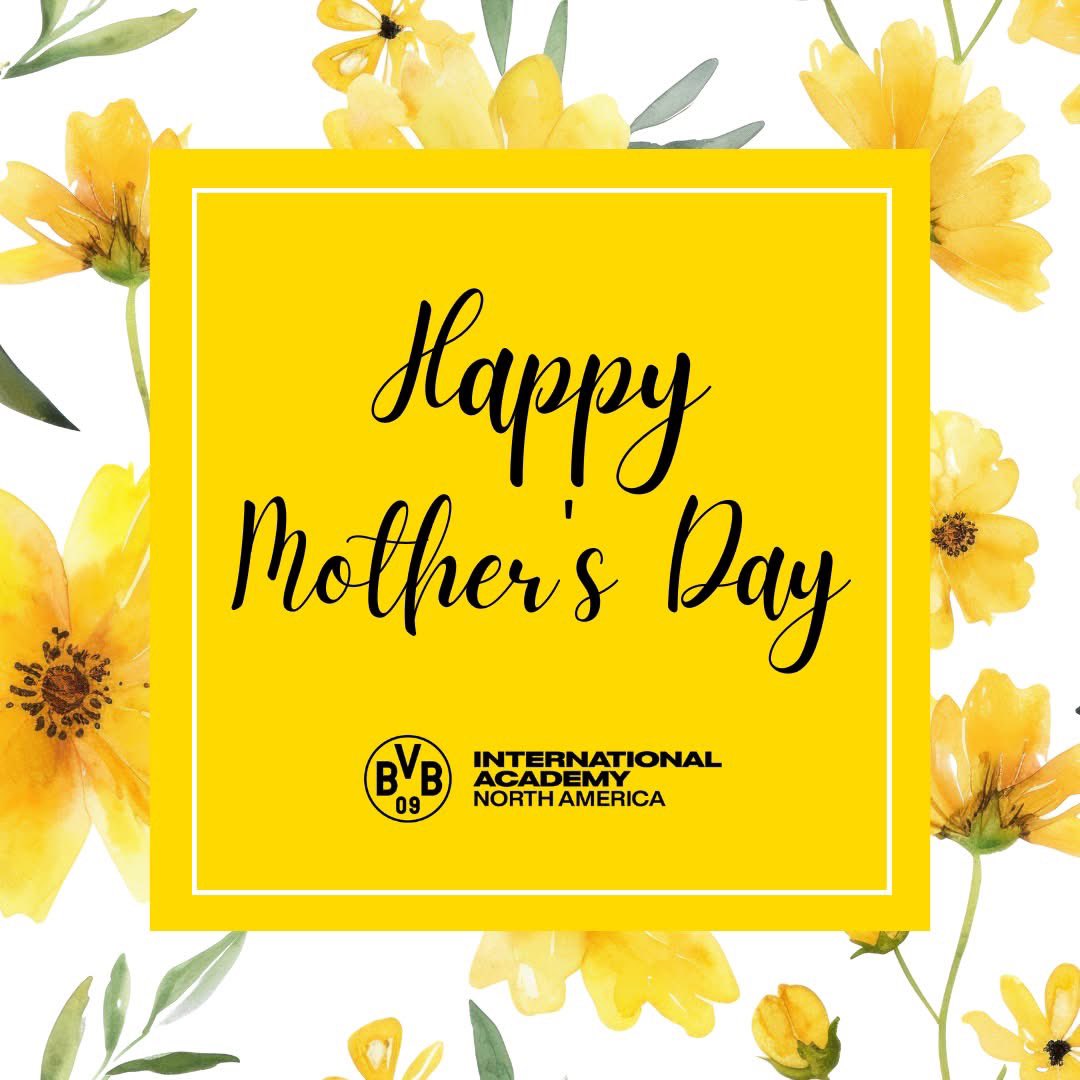 BVB 09G FDL tweet media