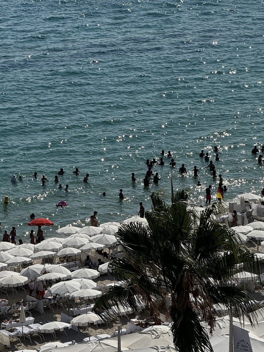 Cannes under the sun