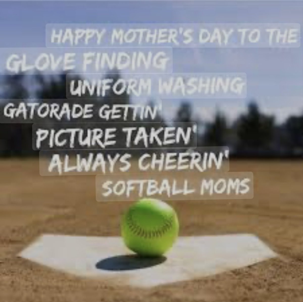 Happy Mother’s Day ❤️🥎🐝🌻