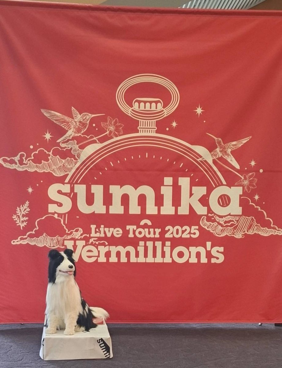 32sora's tweet photo. 今日はsumikaのライブ🎶
楽しかったぁ🙂 https://t.co/N2ydATueE6