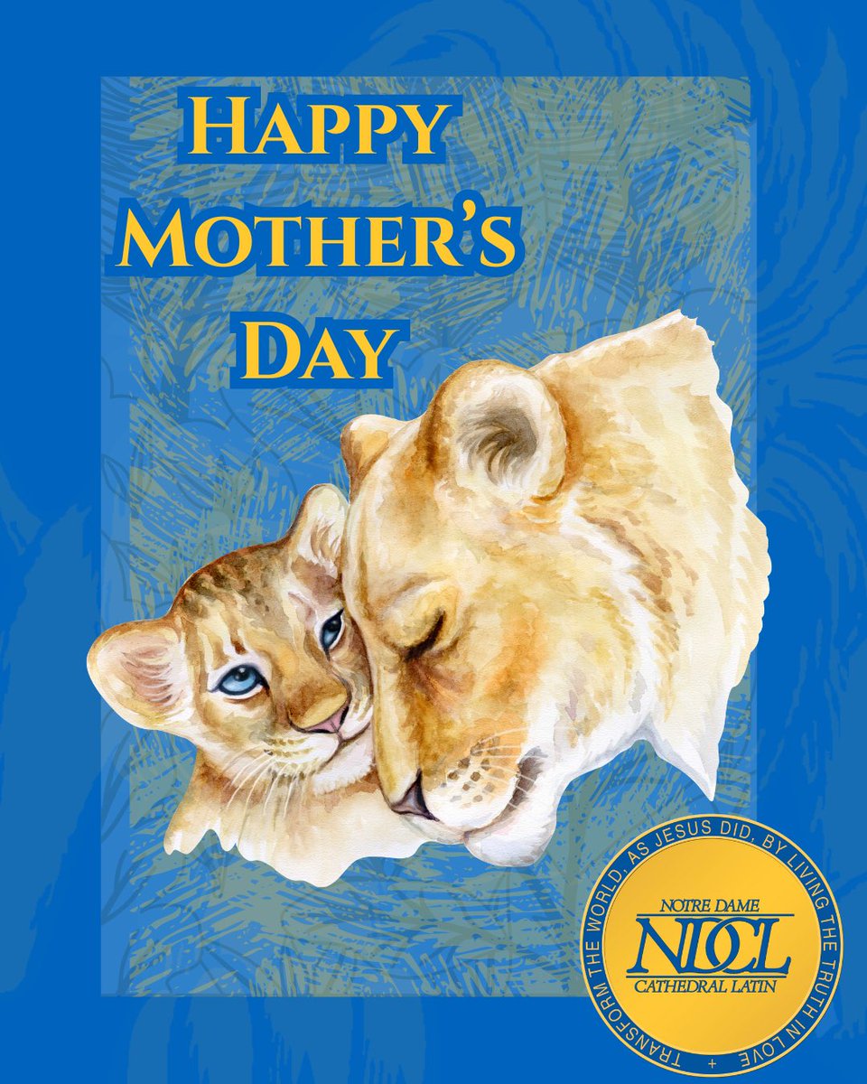 Happy Mother’s Day to all the mama lions out there!

#NDCL #WeAreNDCL🦁 #Lions