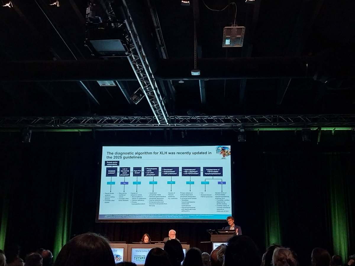 Elena Tsourdi (@elena_tsourdi) on Twitter photo Very happy to see the lively interest re rare bone diseases <a href="/ESEndocrinology/">European Society of Endocrinology (ESE)</a> : presentation of the novel guidelines of X-linked hypophospataemia Very happy to see the lively interest re rare bone diseases <a href="/ESEndocrinology/">European Society of Endocrinology (ESE)</a> : presentation of the novel guidelines of X-linked hypophospataemia