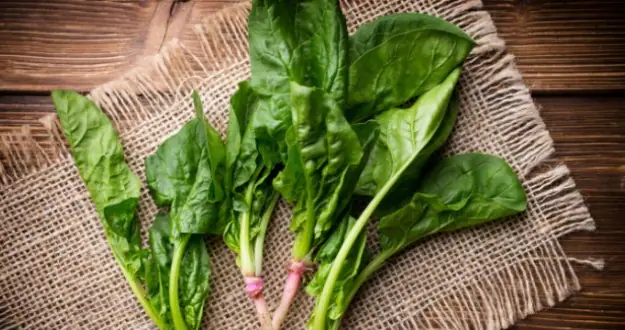 NDTVFood's tweet image. How To Cook Spinach Without Making It Mushy Or Dull
food.ndtv.com/food-drinks/ho…
#spinach #cooking #tips