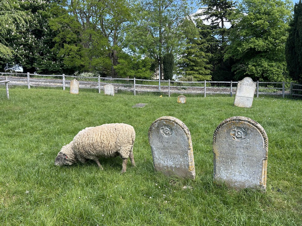 CHURCH EXPLORER tweet media