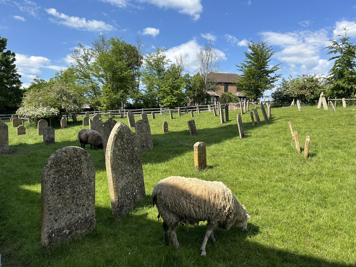 CHURCH EXPLORER tweet media