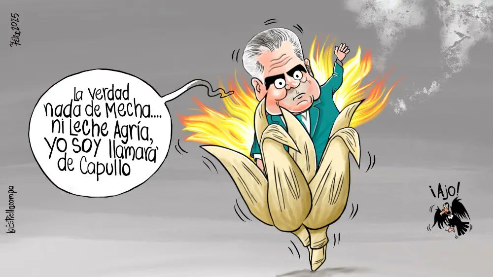 Te presentamos la Opinión Gráfica del 11 de mayo de 2025

¿Qué te parece?🤔