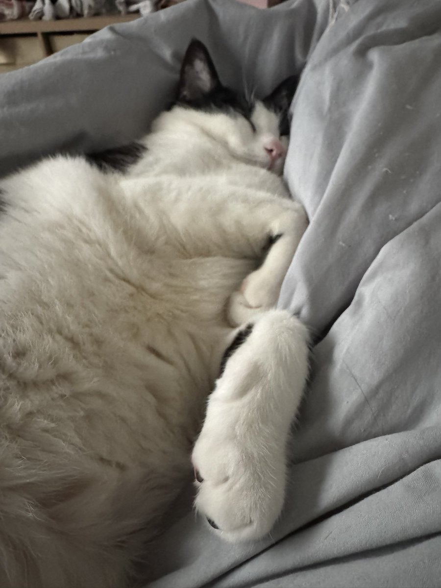 Ok so ime the sleeply
