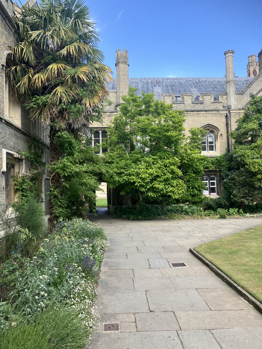 PeterhouseChoir's tweet image. Our Chapel is beautifully cool on this extremely hot day in Cambridge - join us in Peterhouse Chapel for Evensong at 6pm: music by Smith, Bairstow, Gibbons, and Byrd.
All welcome!
Responses: Smith
Psalm 114 (Bairstow)
Canticles: Gibbons, Short service
Anthem: Byrd, Haec dies