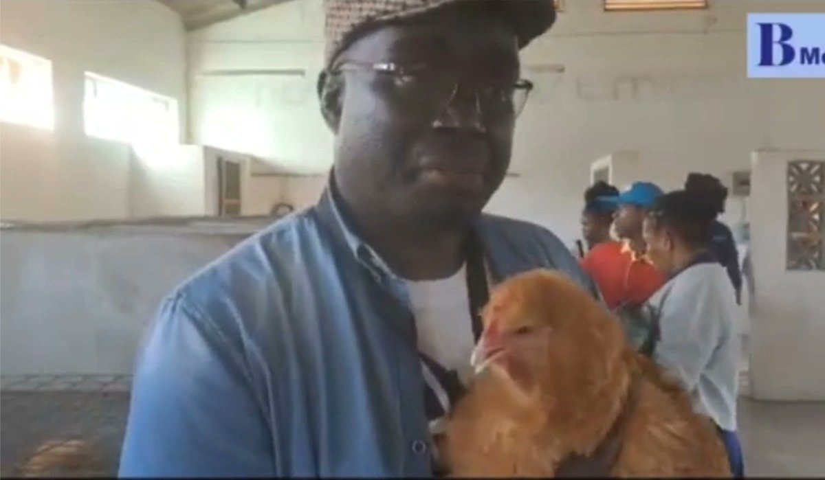 *Zimbabwean Poultry Farmer Purchases R4,500 Rooster*

A poultry farmer from Khumalo has become the talk of social media after acquiring a single rooster for an astonishing R4,500. Taffy Chiwashira,
