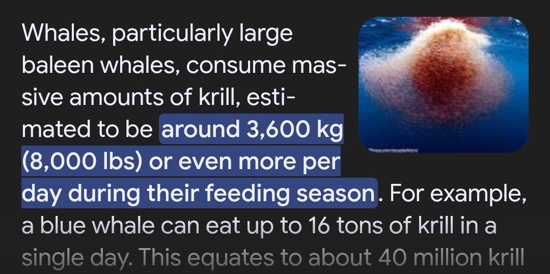 New EA position: eradicate the Whales