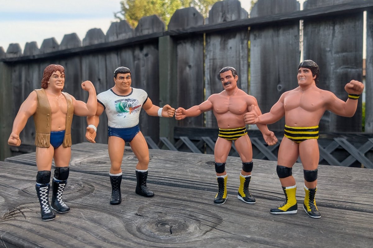 Face (professional wrestling) - Wikipedia, image size:1200x800