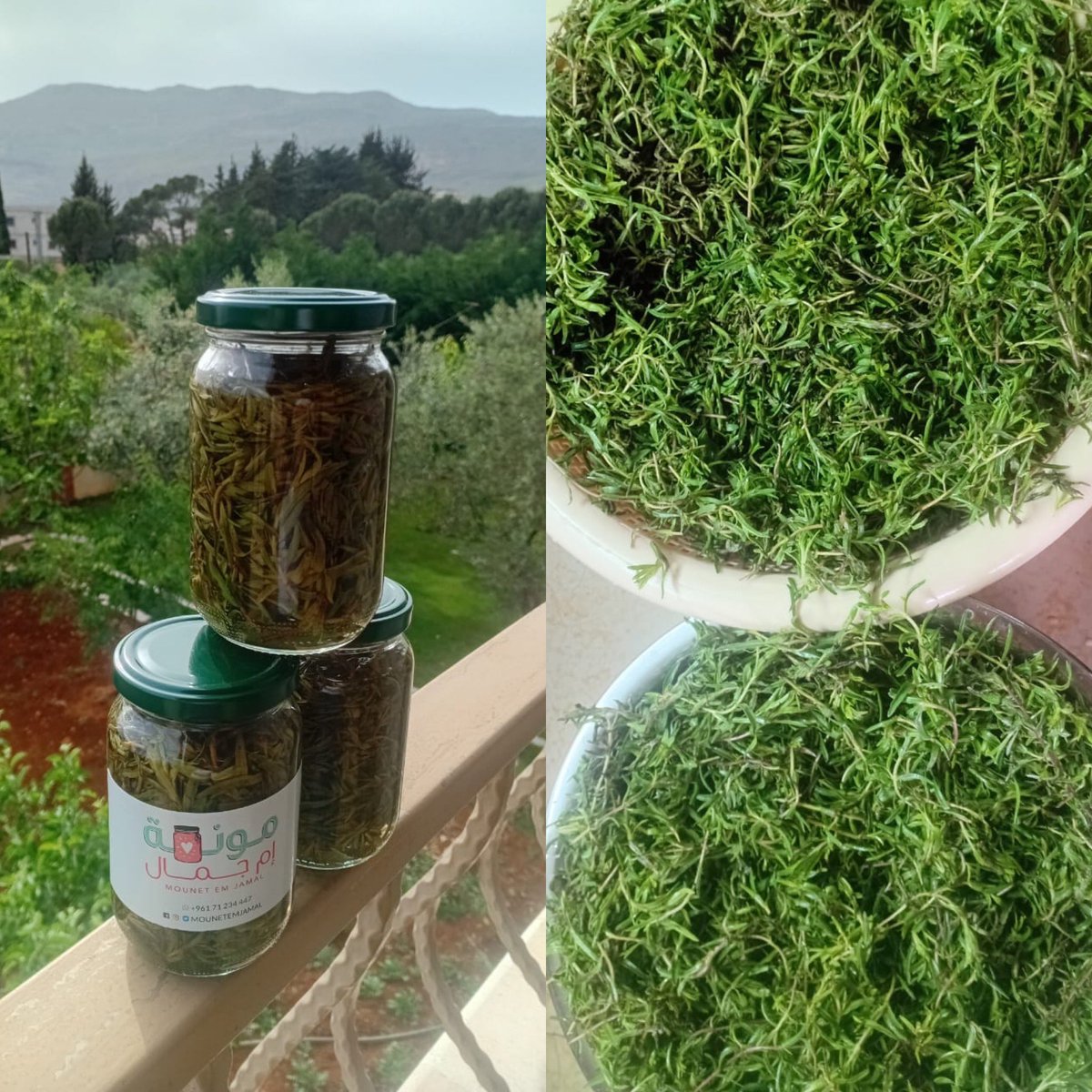 كبيس زعتر جردي برّي 🤤
ضروري تجرّبوه، فقط من مونة إم جمال 🥰❤️