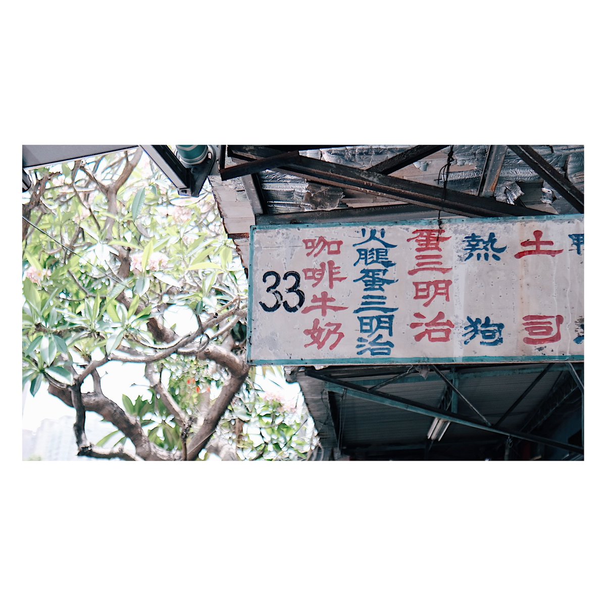 🇹🇼やわっこいデイタイム 