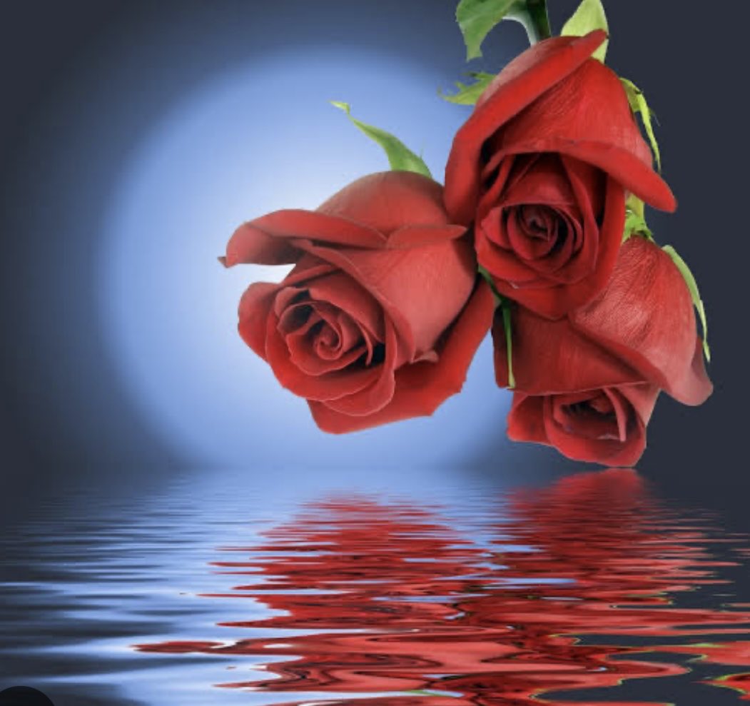 Anne sıfatının doğumla  kazanılmadığını bir nedenle istese de oralardan geçme şansı olmamış,ancak anne şefkatine aç evlatları aşkla sarmalayan nice “ANNE”leri görerek öğrendim.Bugünün ve bu sevgiyi kalplerinde taşıdıkları her günün onların da günü olduğunu unutmayalım lütfen.