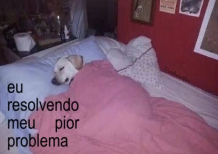 annfleusr's tweet image. 