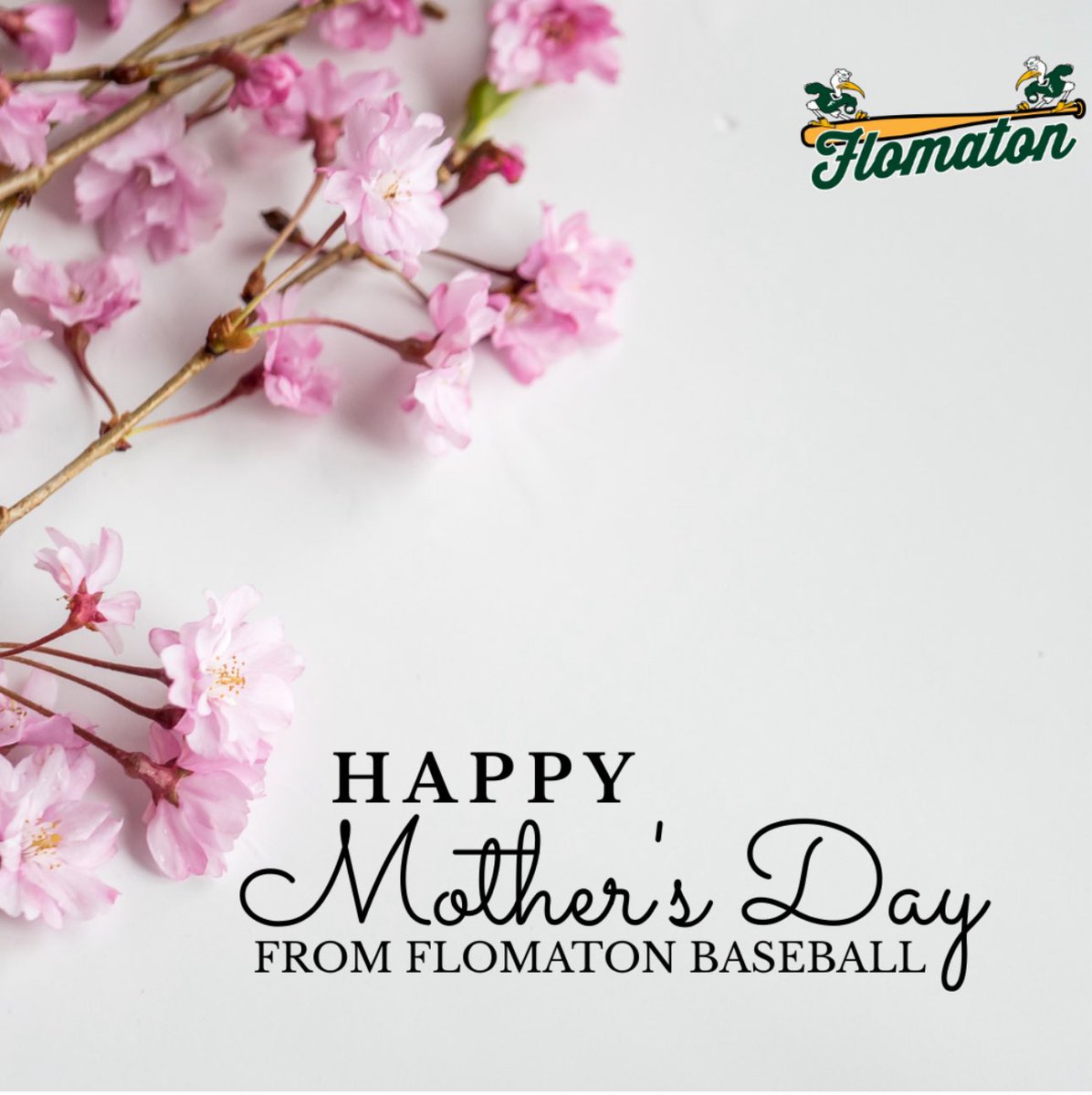 FlomatonBasebll's tweet image. Happy Mother’s Day to all the Moms!