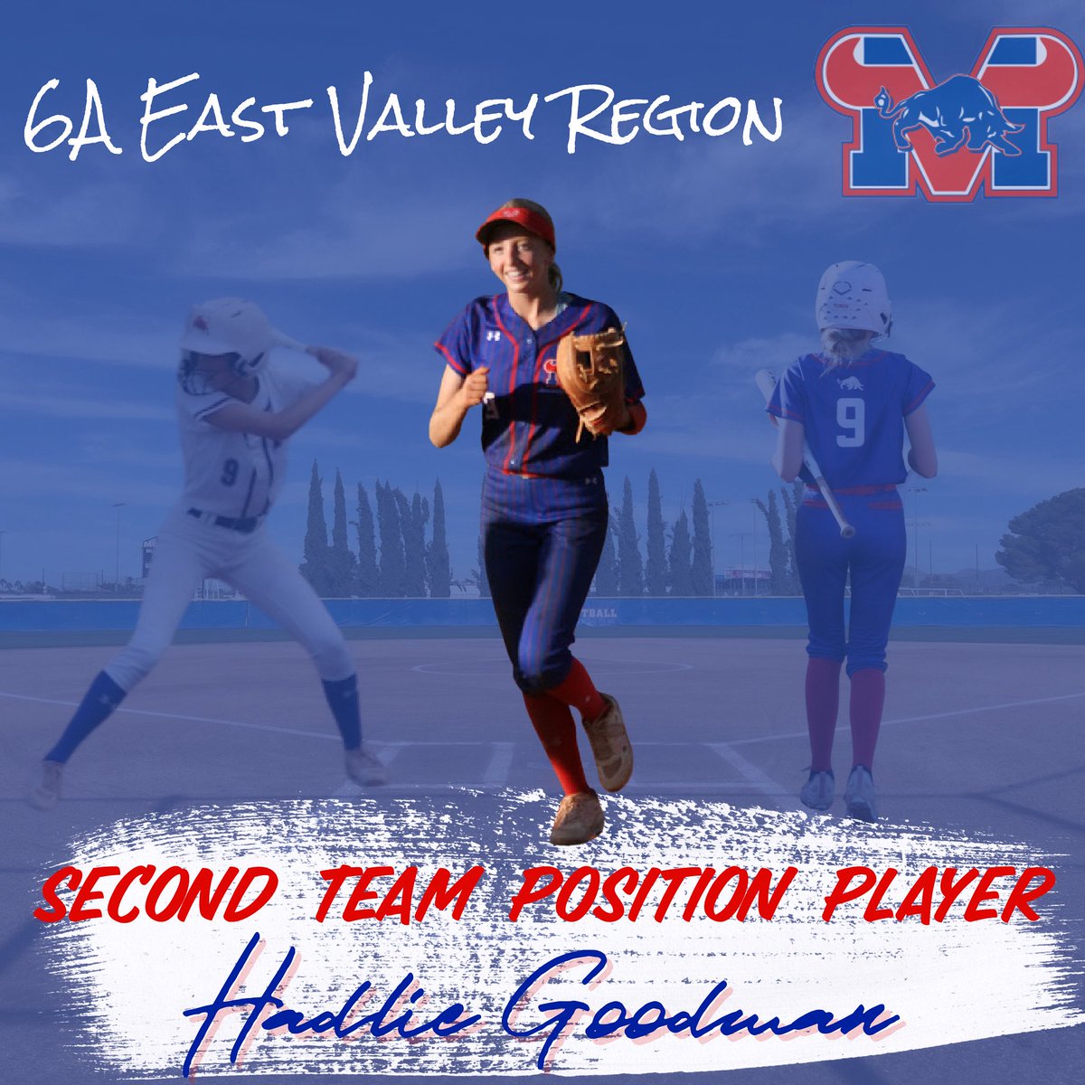 MVToro.Softball tweet media