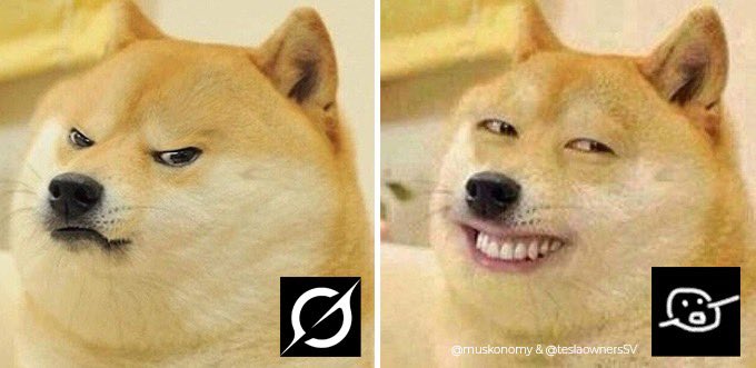 teslaownersSV's tweet image. Grok vs Gork