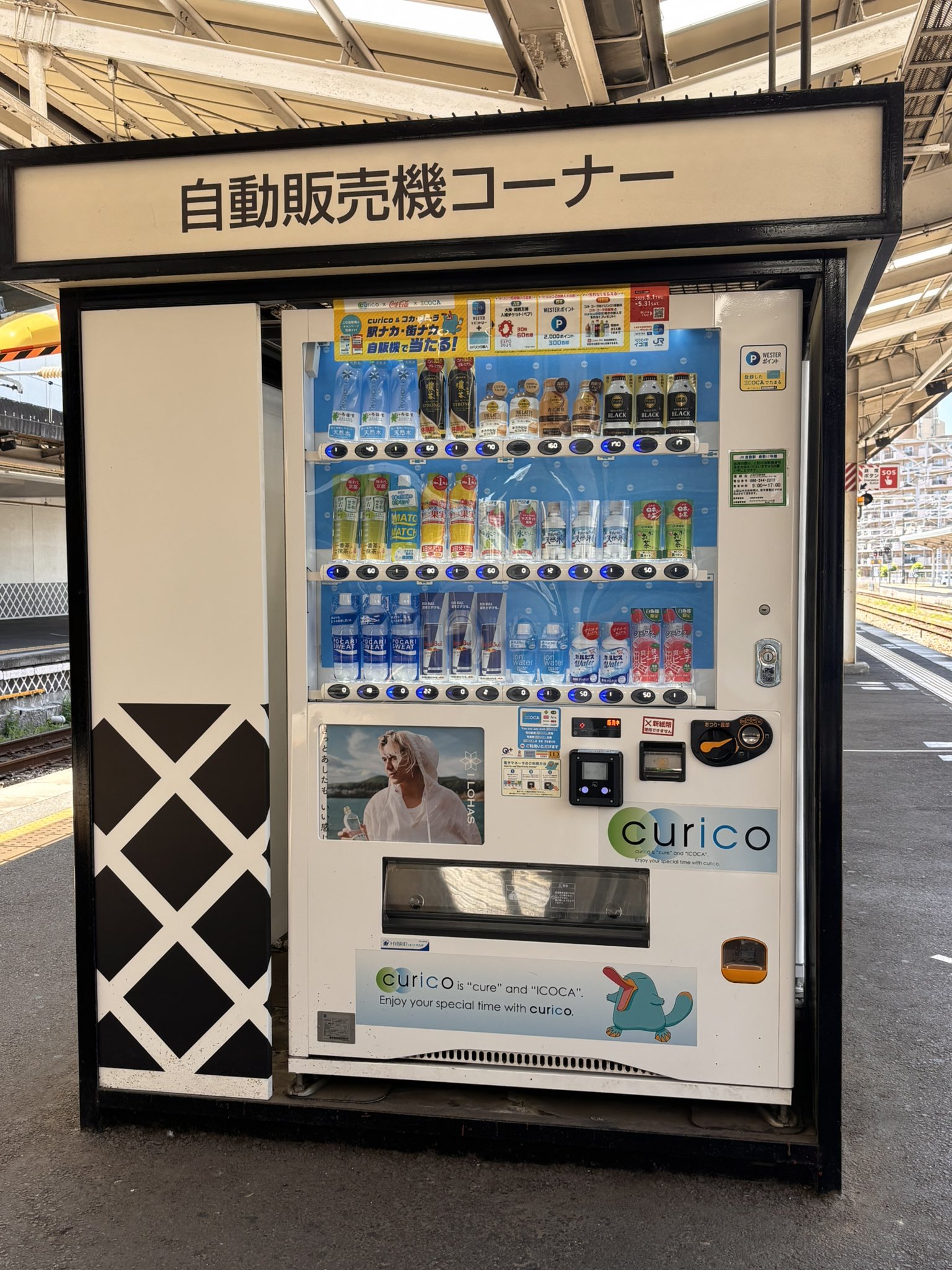 楓ページ $_12.JPG?set_id=880000500F