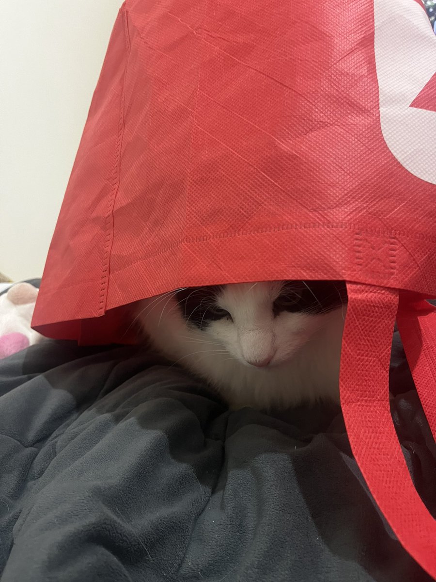 in mine Bag💅🏻