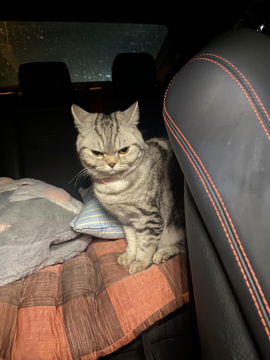 宋 (@shashinamui) on Twitter photo 