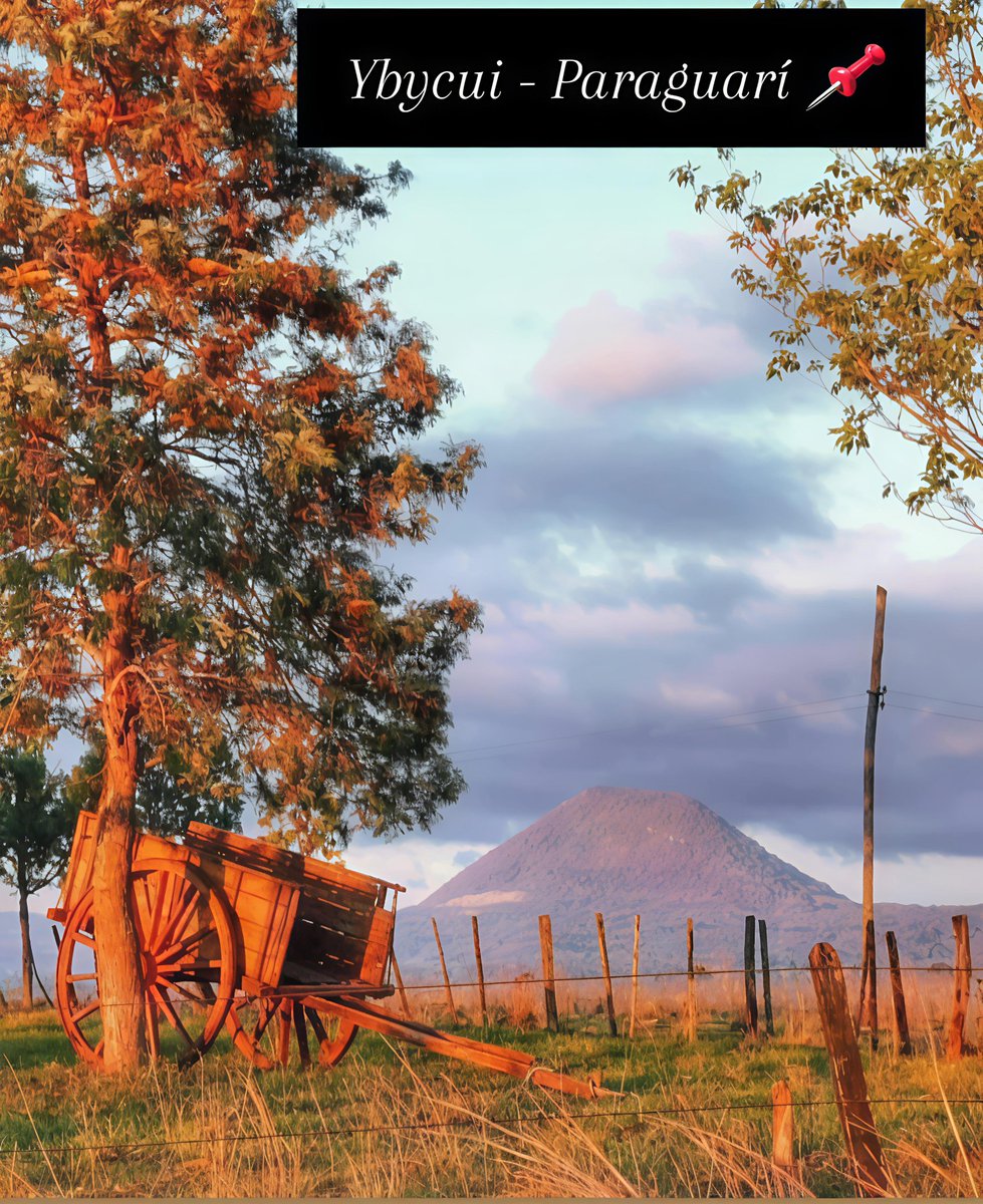 Silvio Castellano (@silviocastella1) on Twitter photo 