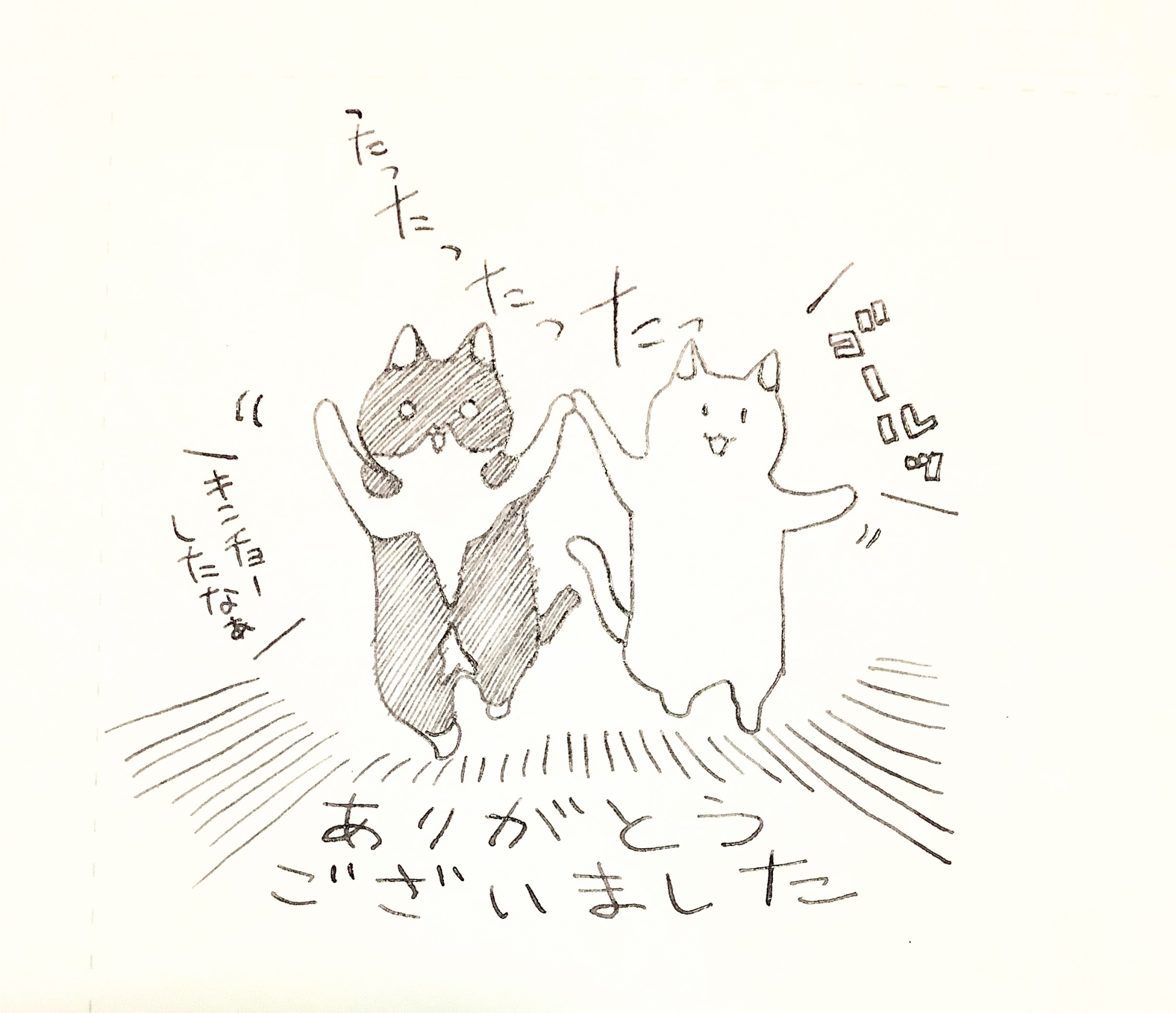 きこりの DSC04546.JPG