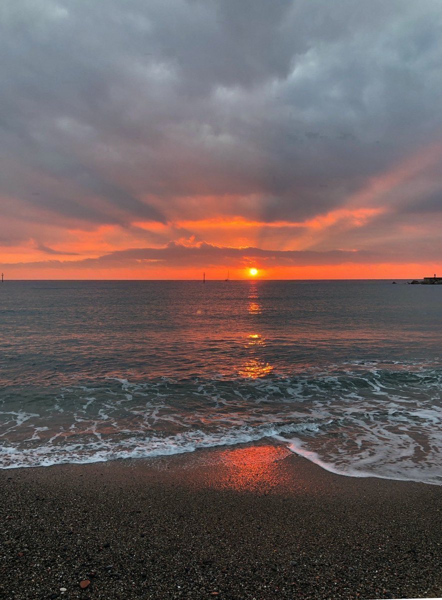 Aesthetics (@aestheticspost_) on Twitter photo 