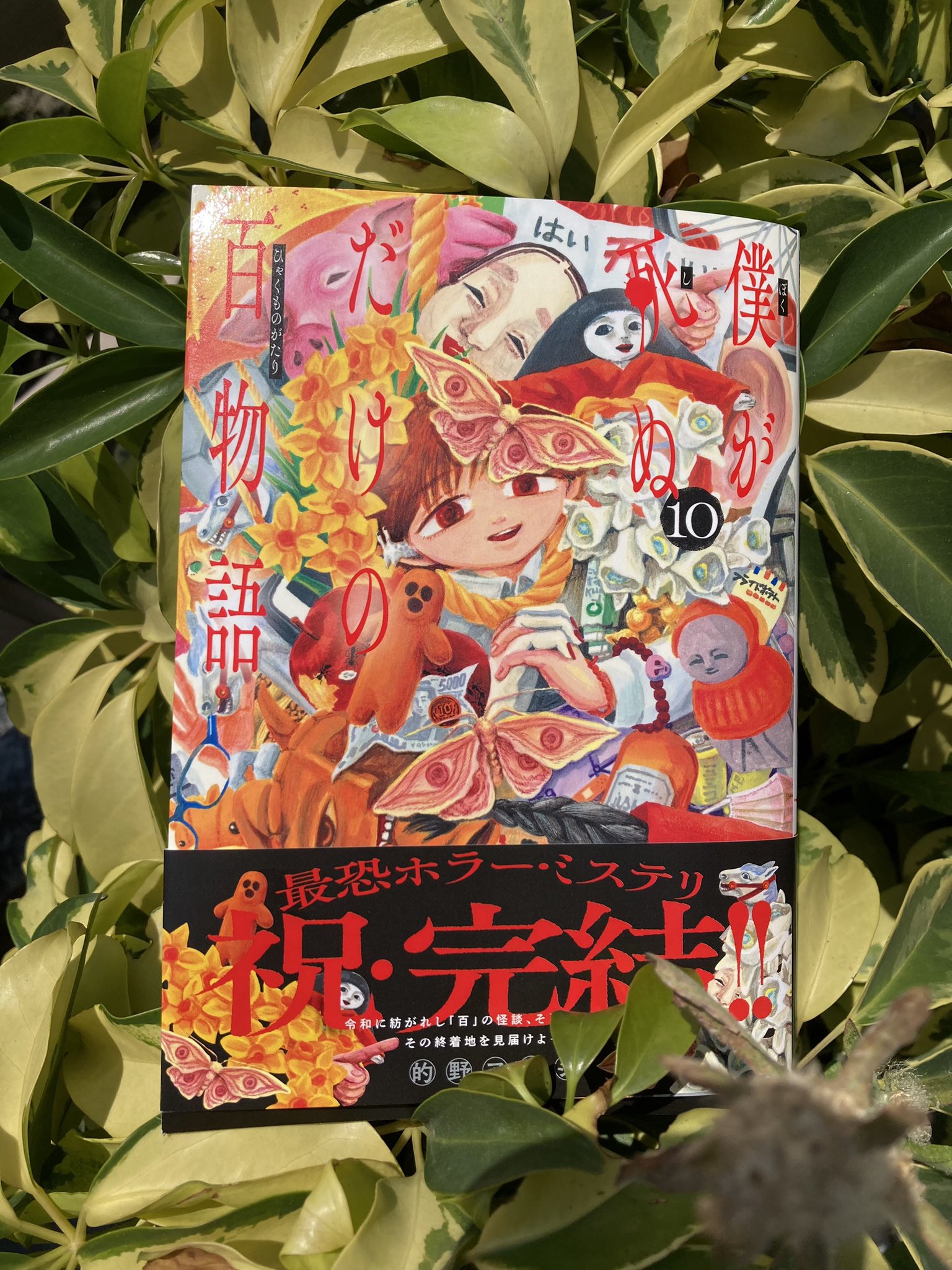 的野アンジ/僕百最終巻発売中 on X: 