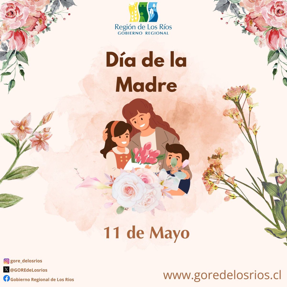 🤍 ¡Feliz Día a todas las madres de Los Ríos!
💞Desde el Gobierno Regional enviamos un saludo con cariño y gratitud por su amor, entrega y compromiso.
Su fuerza y dedicación fortalecen nuestras familias y comunidades.
#Valdiviacl #DíaDeLaMadre #LosRíos