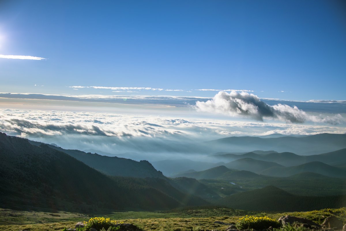 Deberhardt1331's tweet image. Mt. Evan’s up high on top of the world.