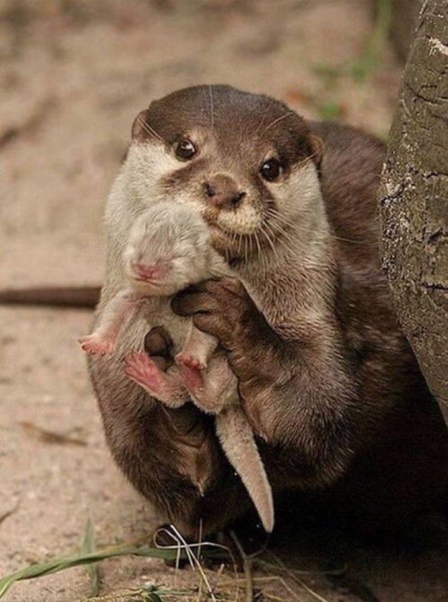 Proud mommy showing her baby.. 😊