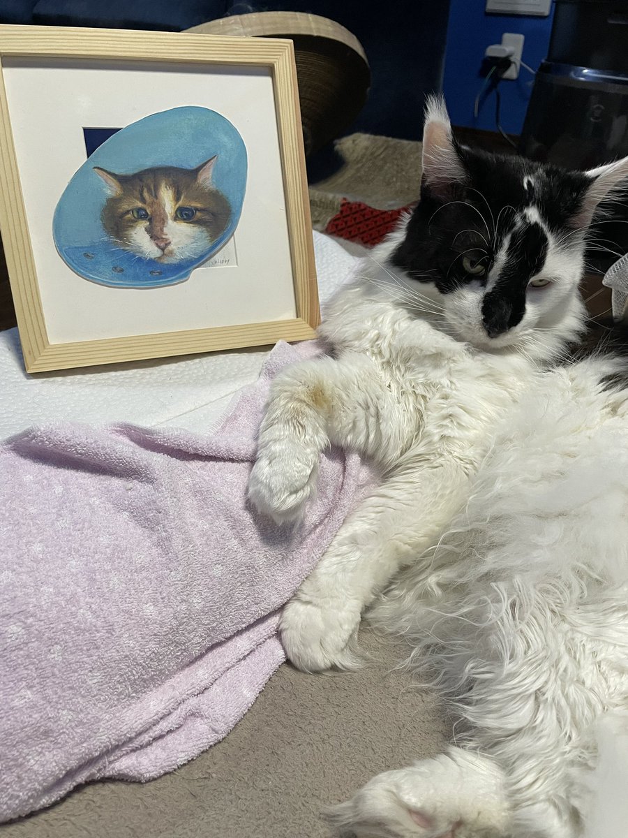Xで見守っている猫もふくんの飼い主さん(<a href="/chicory7iro/">chicory(ちこり)</a> )が描かれた原画を買わせていただきました。嬉しい☺️
原画は画像とは全然違うからな…！！
温かみのある画風で好きです。(あと動物をうまく描ける人は尊敬するよ…)
もふくんも飼い主さんの活動も応援してます！