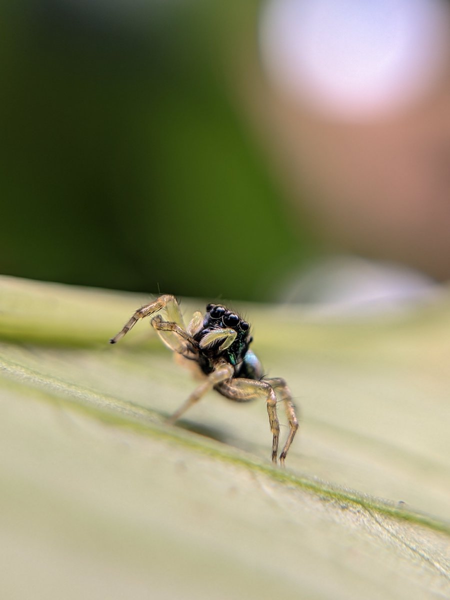 Rajesh R Kurup tweet media