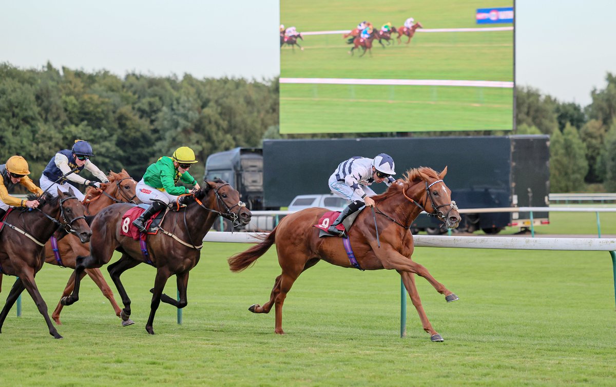 Racing Post tweet media