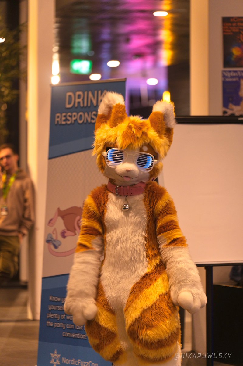 I do not endorse this sign

📸:<a href="/HikaruWusky/">HikaruWusky</a>