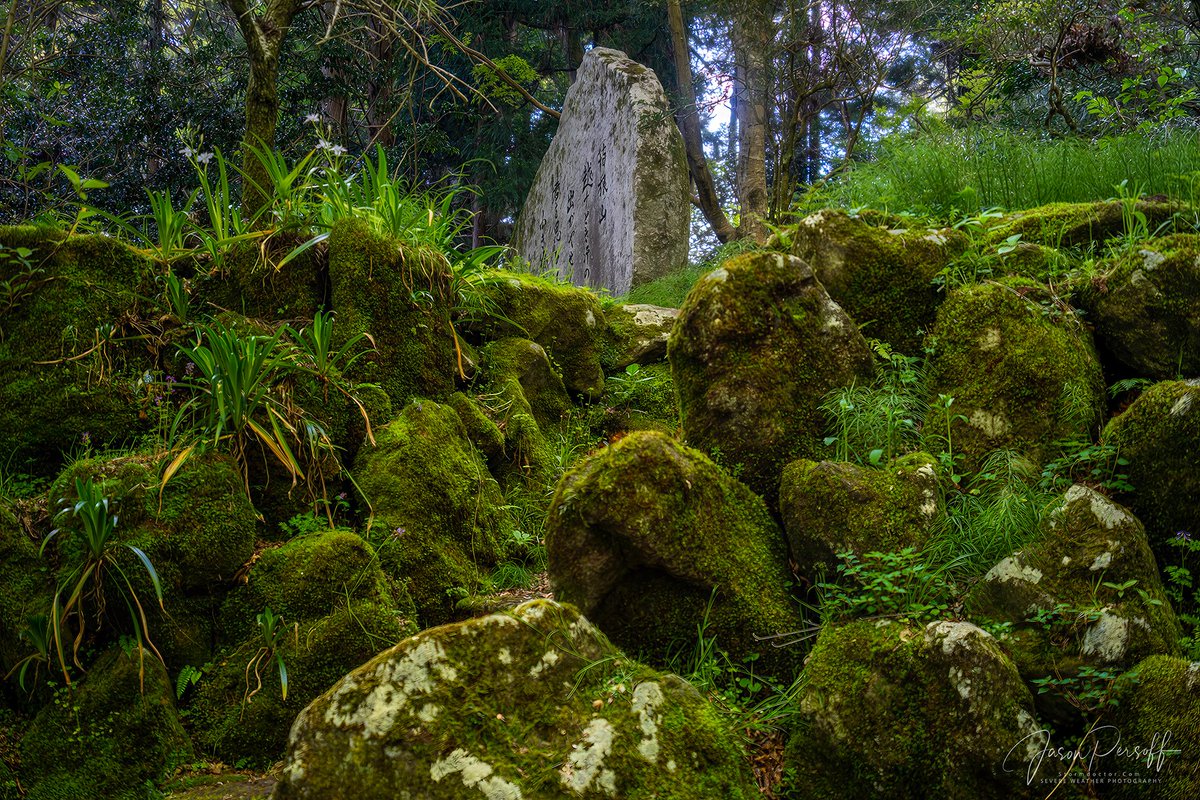 There are kami everywhere in the Japanese forests. Here a memorial stands on a hidden path near the Hakone Temple. #hakone #japan