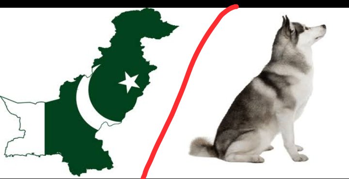 Border draw krna tou bhool gaye