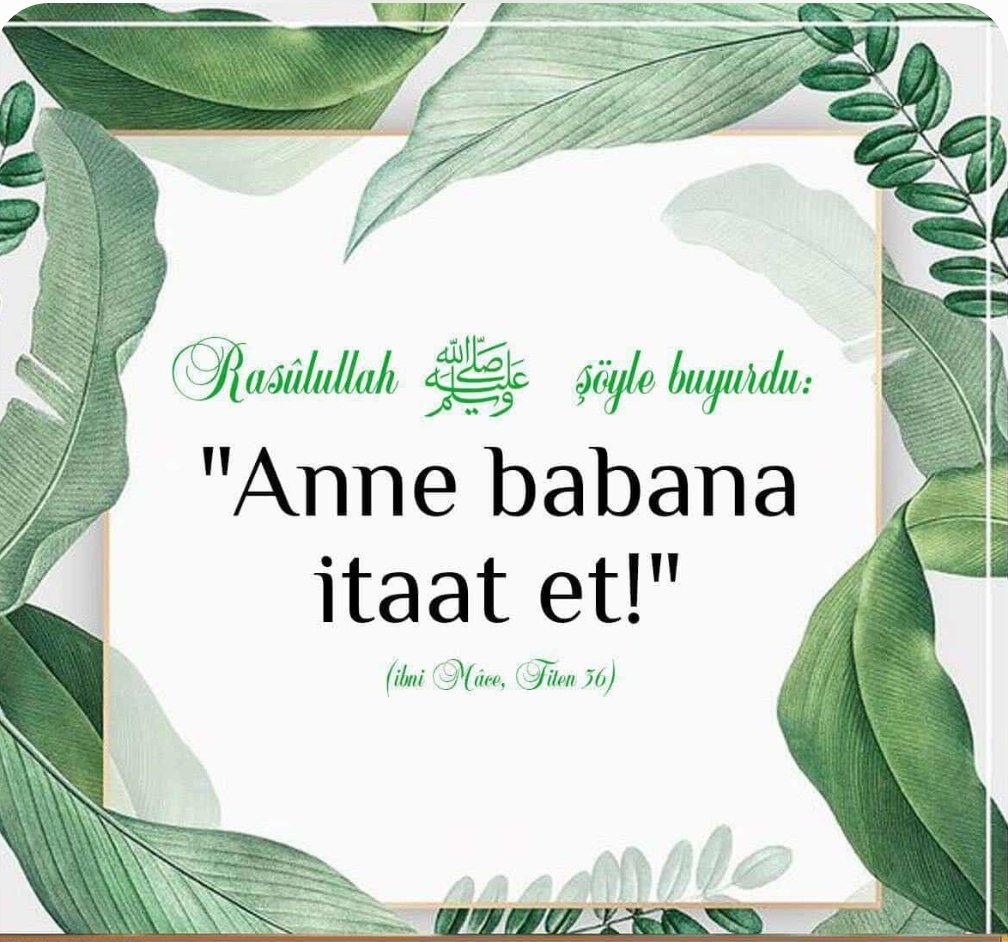 Hamidiyeli3232's tweet image. Selamün Aleyküm Arkadaşlar
Cümleten Hayırlı Akşamlar Dilerim 🌙
#EgyptWakeUpForGazaMısır 🇵🇸🇹🇷
#wakeupmuslim #pazar #Pakistan
