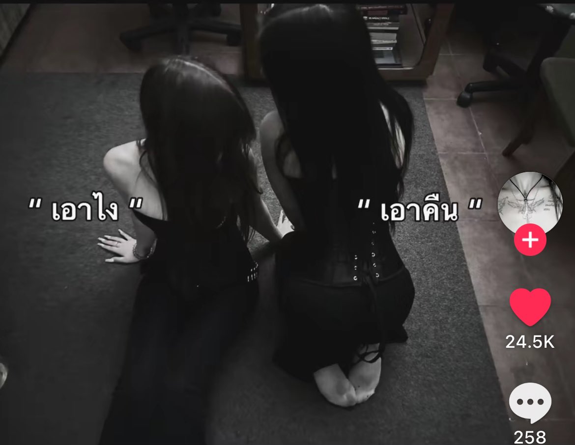Asn (@seedwaasn) on Twitter photo 