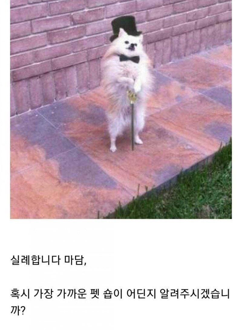 jjondoriu's tweet image. 