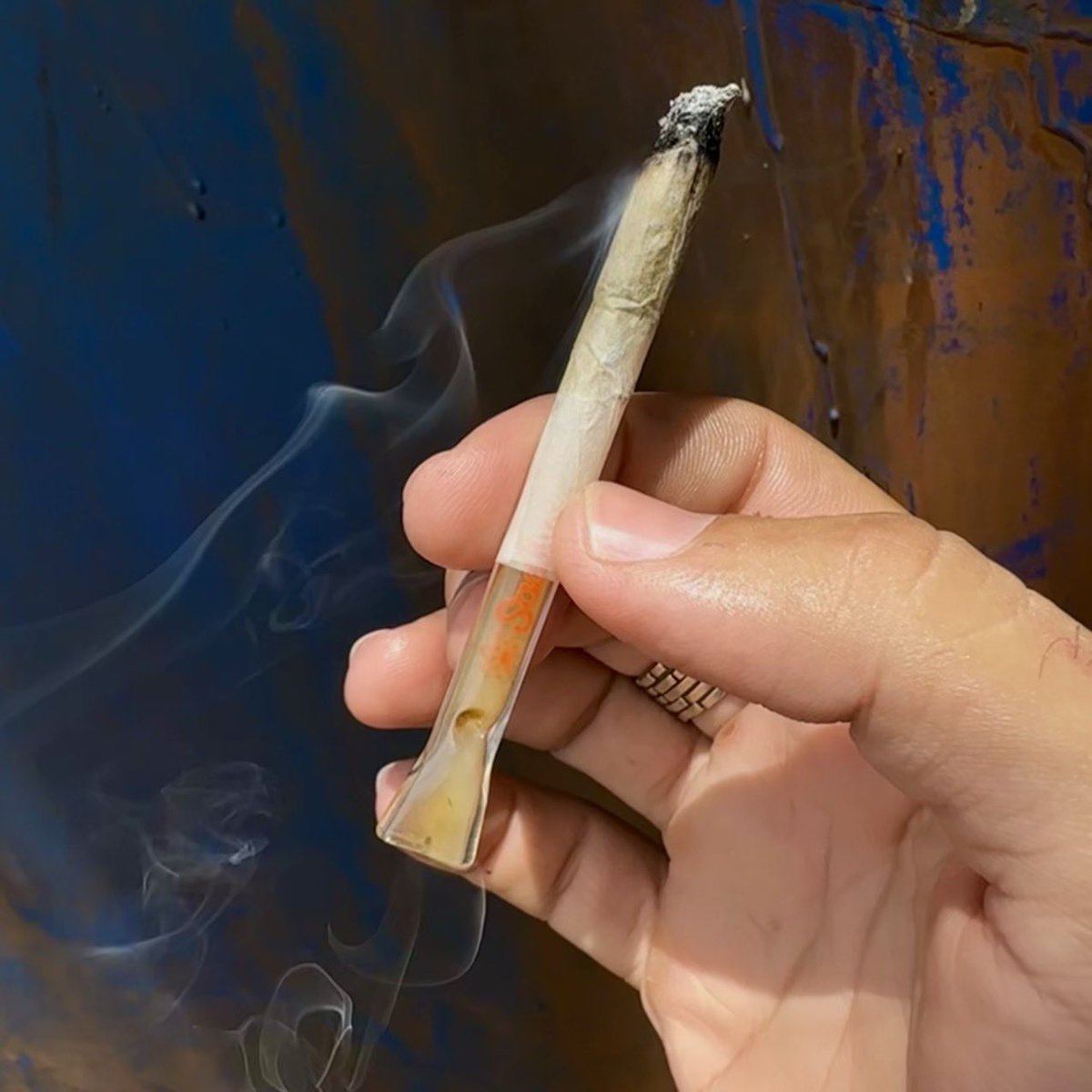 _0_farma's tweet photo. #smoke #prensado #maconha #descriminalização #f1 #joint #weed #Brisa #Umdois #Chapado #Canabis #canabisbrasil #cboficial #weedlife #Skank #THC #stoner #Skunk #beck https://t.co/pzZoHWHtwQ