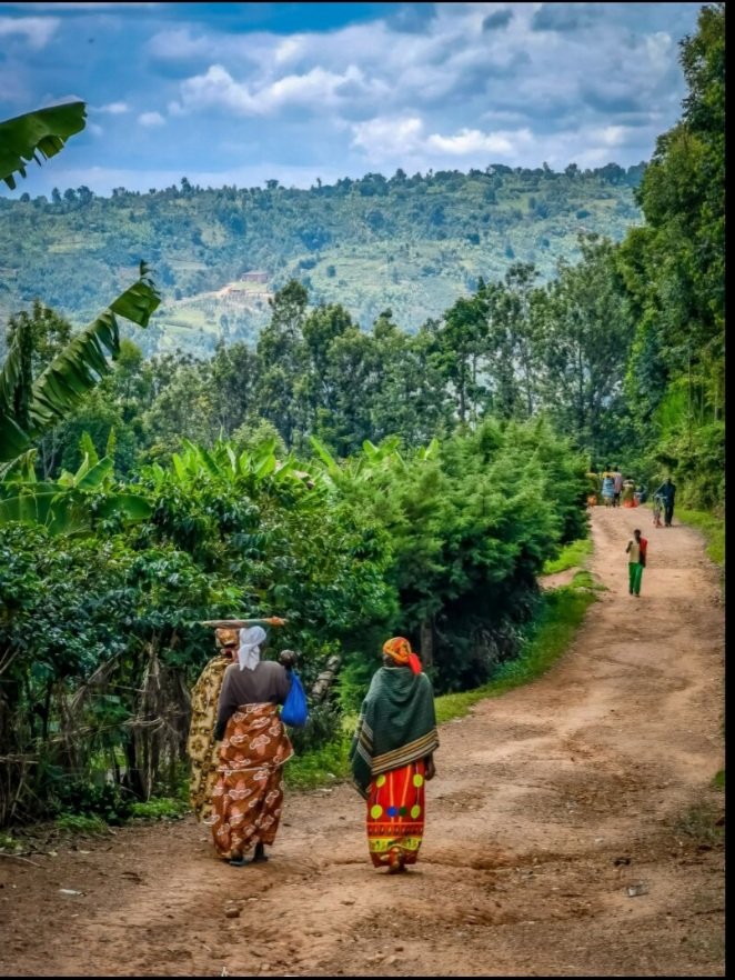 irakoze____'s tweet photo. Harambe umuvyeyi
*
Kumanika/Gusohora amahasa.
Une fille-aide de la famille-mère portait le second(Butoyi).C’est ce jour-là qu’on enlevait les cheveux des enfants.Un membre de la famille-père enlevait ceux de Bukuru & la famille-mère ceux de Butoyi
#Mawe
** https://t.co/mwKsA0BIiT