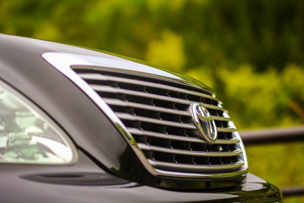 人が撮ってれる写真は自分じゃ撮らないアングルだったりして面白いです。