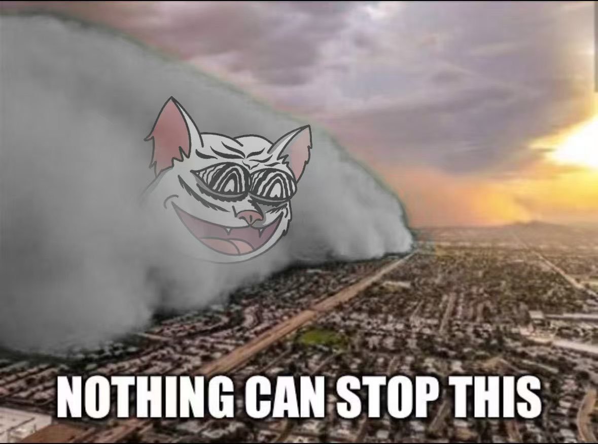 MacitheCat's tweet photo. we never stop this $MACI on Solana https://t.co/Yw7YGkJteM