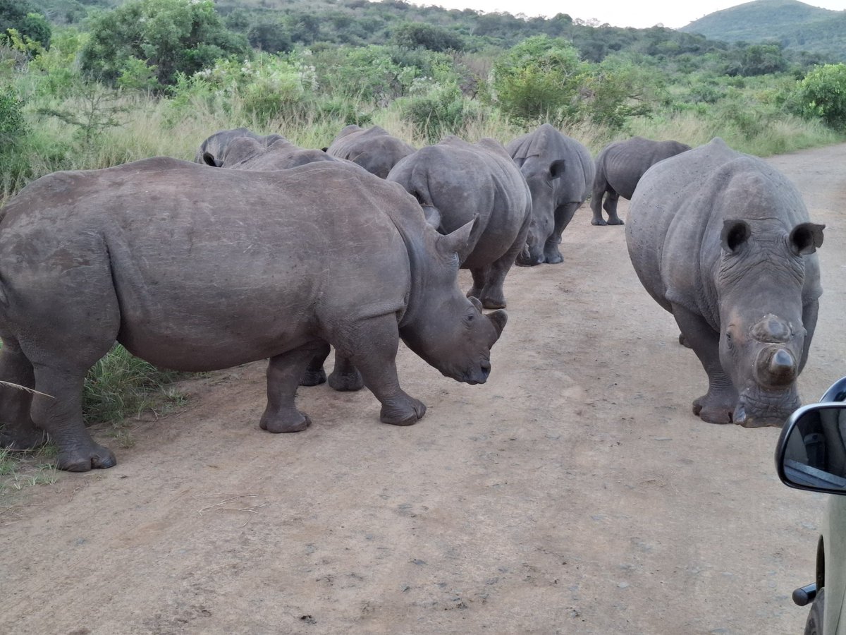 Ben van der Linde tweet media