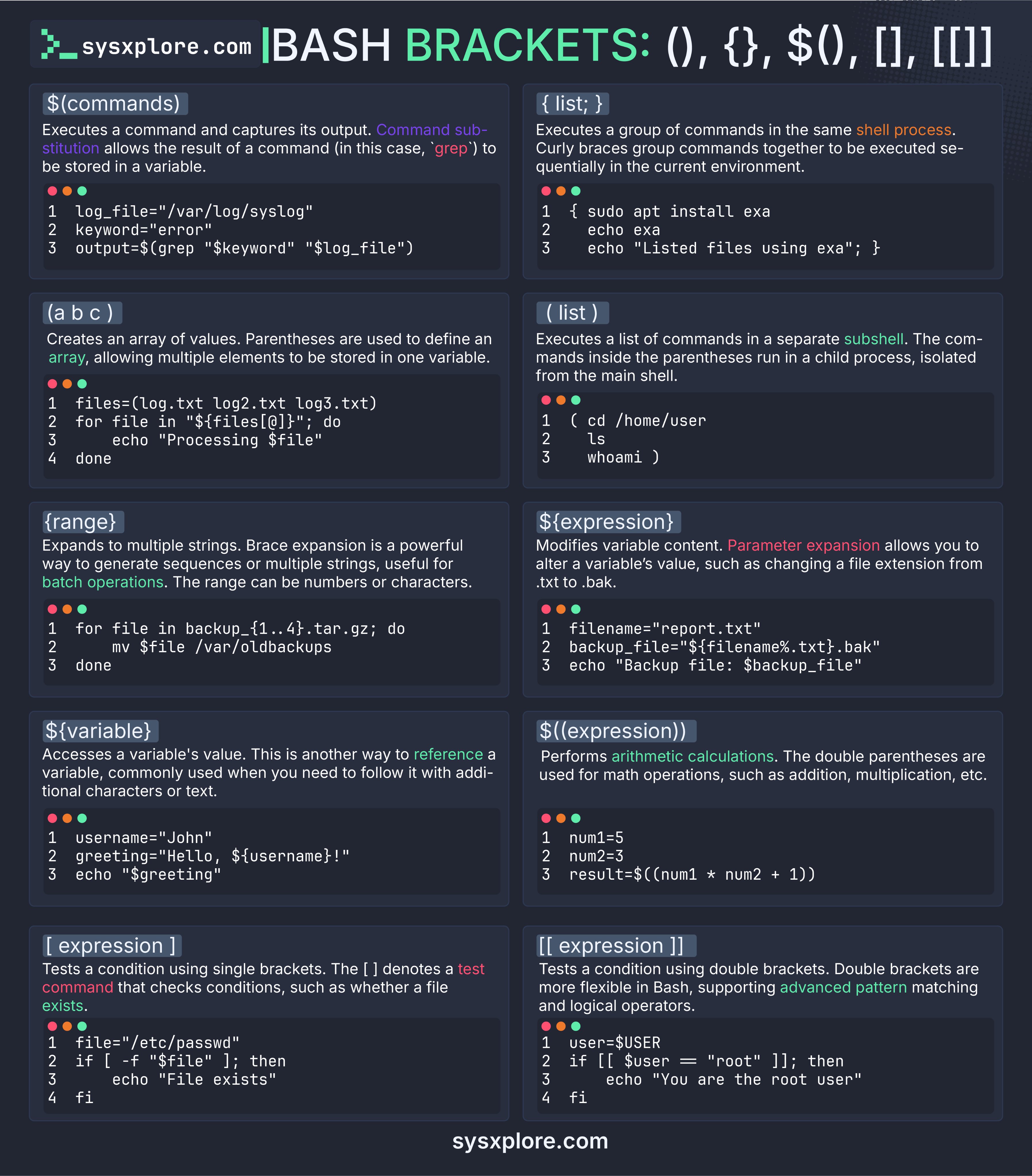 Bash Scripting Basics